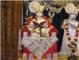 swaminarayan_vasantpanchami_2743.jpg
